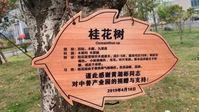 “種”希望！綠化中普，共建美麗家園